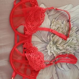 Sexy red lace bra